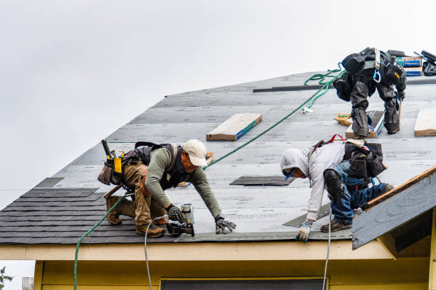 Professional Roofing technician working in Dola, OH